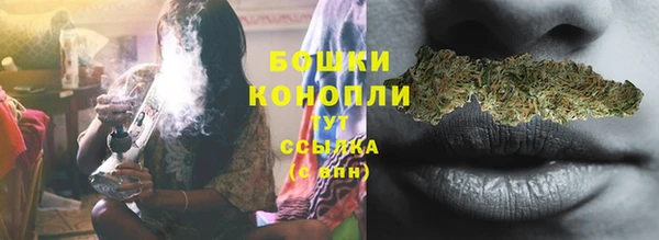 PSILOCYBIN Богородск