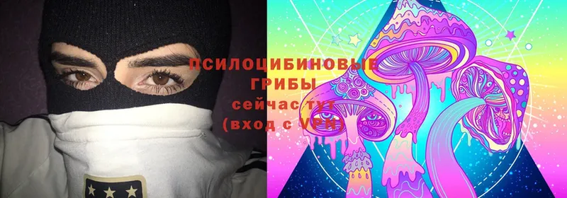 Псилоцибиновые грибы Cubensis  даркнет сайт  Апрелевка 